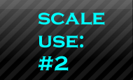 Scale use two